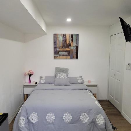 Cozy Studio Apt Orlando Dış mekan fotoğraf