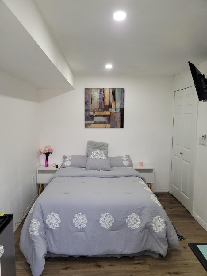 Cozy Studio Apt Orlando Dış mekan fotoğraf